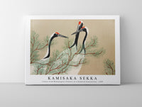 
              Kamisaka Sekka - Cranes from Momoyogusa–Flowers of a Hundred Generations (1909)
            