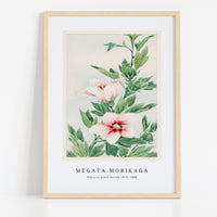 Megata Morikaga - Hibiscus plant during 1870–1880