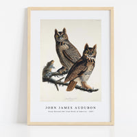 John James Audubon - Great Horned Owl from Birds of America (1827)