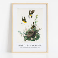 John James Audubon - Yellow-breasted Chat from Birds of America (1827)