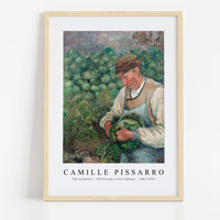 Camille Pissarro - The Gardener - Old Peasant with Cabbage 1883-1895